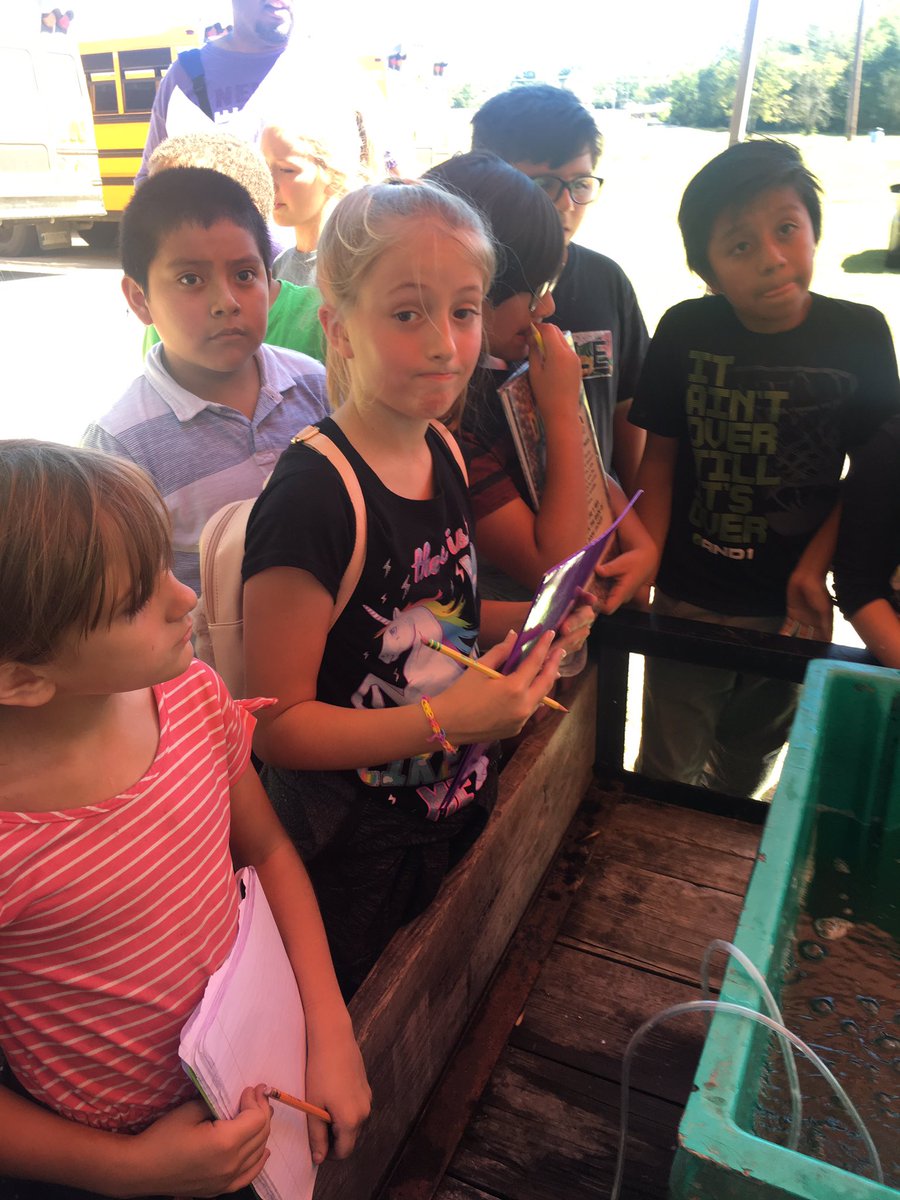 LearningElem's tweet photo. 5th grade learning about fish. #doitthelearningway https://t.co/J7fTOdarVa