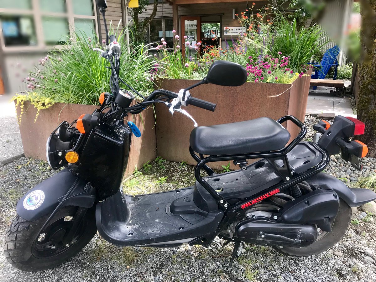 SSadventureco's tweet image. Adventure around the island on one of our Scooters, while enjoying the bright colors and crisp Autumn air. We have both single and double passenger scooters for rent!

#SSAC #ComeAdventureWithUs #scooter