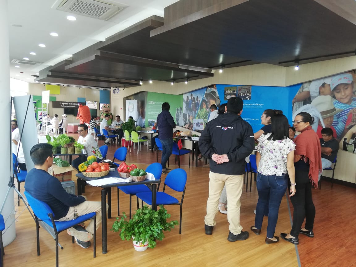 AHORA | Continúa realizandose el "1° Encuentro Empresarial entre Productores Locales y Sector Turístico" evento organizado como una rueda de negocios para potenciar la producción local. Evento organizado por; CGREG, GADMSC, MAG, CAPTURGAL y Conservación Internacional