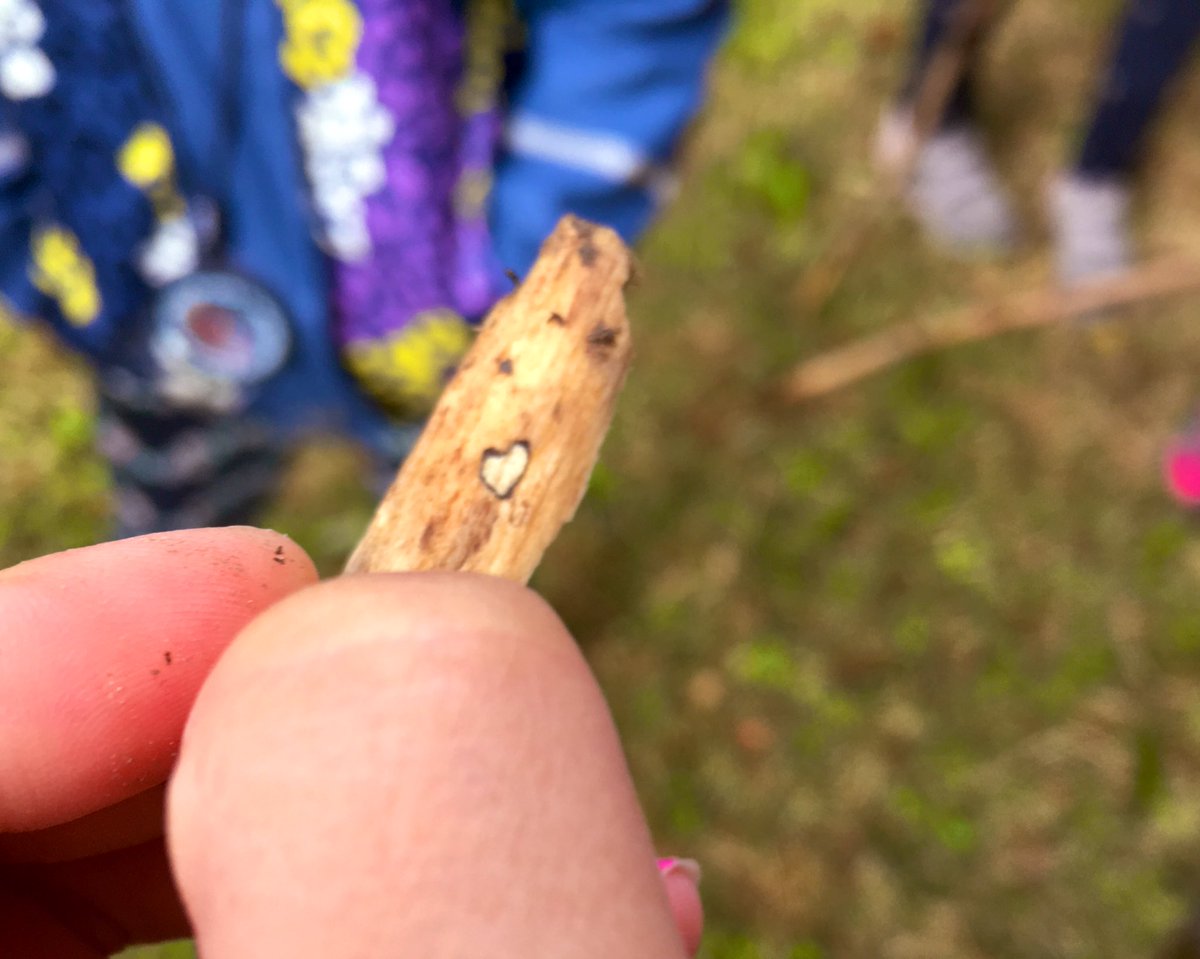 edu_GetCreative's tweet photo. “Look, the Nature is loving us back!”
🌳 😍
A hike based on @GretaThunberg ‘s story is giving our children a deep connection with the #Nature.
#outdoorlearning #Growth #ClimateAction #ISZN #CognitaWay #SystemsThinking #GlobalCitizen @ISZN_School https://t.co/0HLGnzCC8J