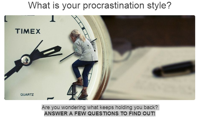 New Zest 4 Life tweet media