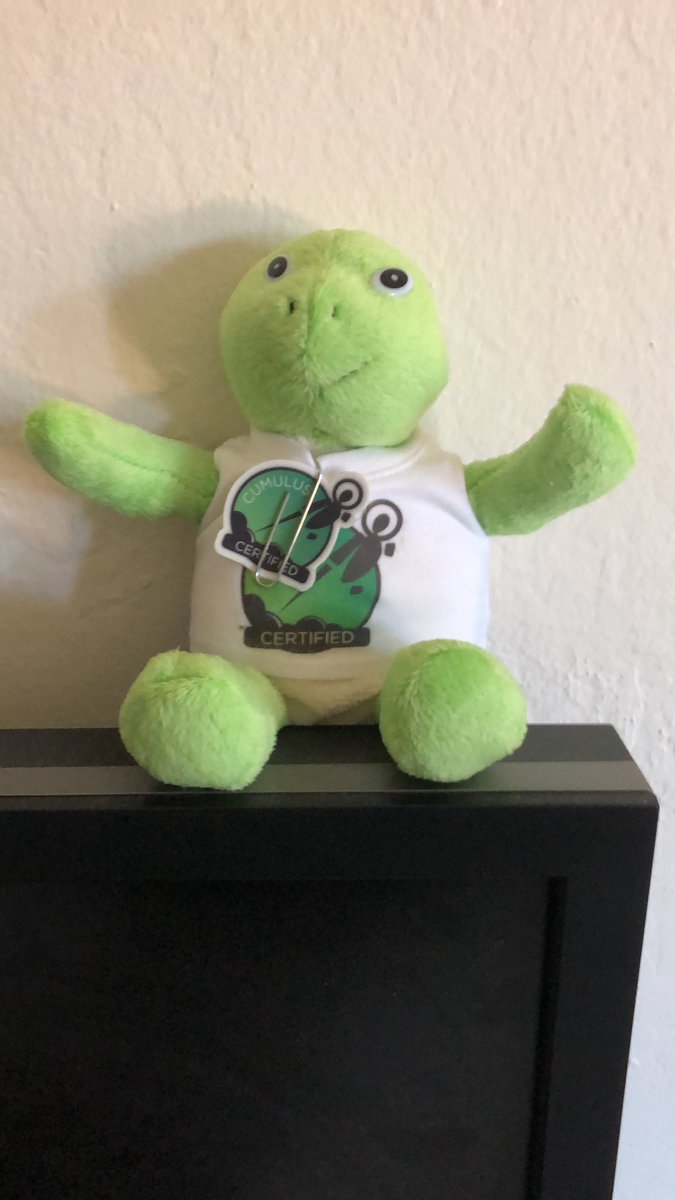 jrizzleAWS's tweet image. Got my @CumulusNetworks certification swag... as good a time as any to sign off... #endofanera