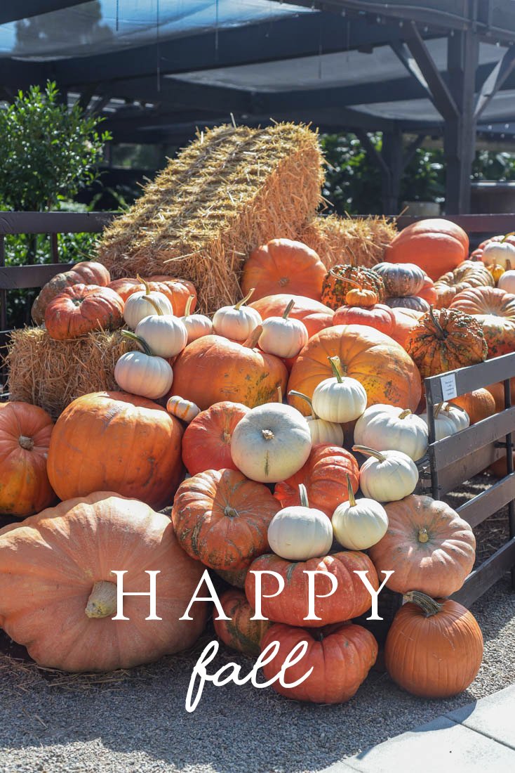 Happy #Fall! For some, fall signals the beginning of the best months of the year.⁠
⁠
There is a lot to see and experience at Roger's Gardens right now: Malice in Wonderland, pumpkins, fall colors, seasonal dishes at <a href="/farmhouseatrg/">farmhouseatrg</a>, and the Christmas Boutique starting October 4.