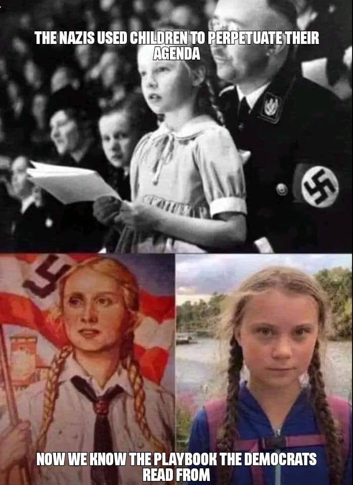 Image result for greta thunberg used by democrats