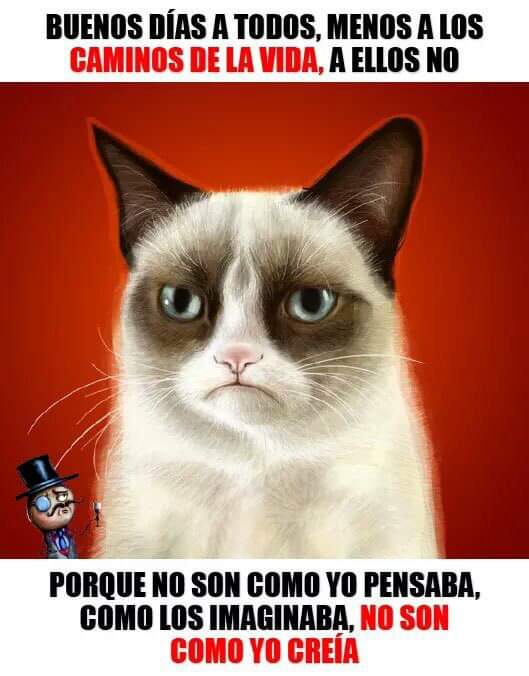 Gianco Abundiz On Twitter En El Camino De La Vida