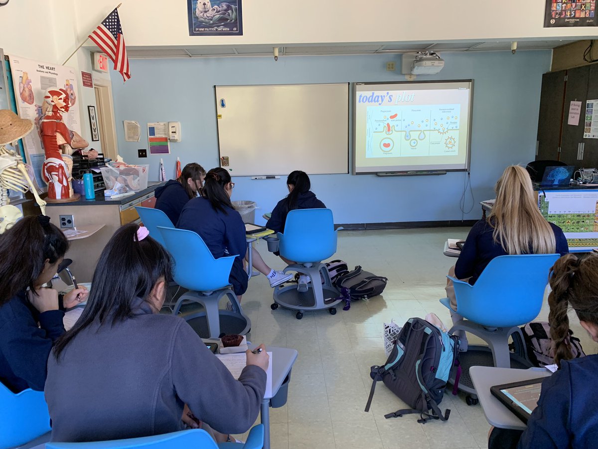 TechBioBek's tweet image. Playing with cell membranes with the iPad app game Cell Defense! #apbio3 #ndbtigers