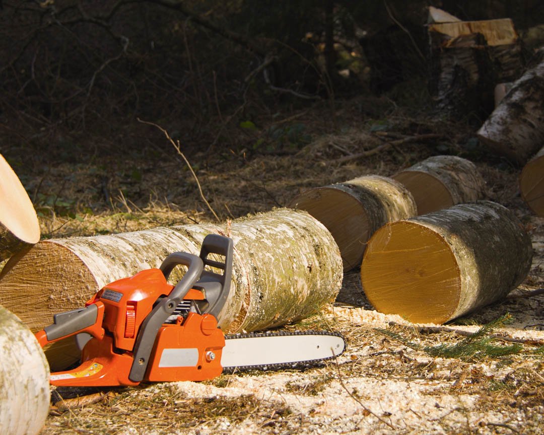 MarsamTree's tweet image. When you’re trying to find #TreeCare in #Arden, it can be hard knowing what businesses you can really put your trust in. #MarsamTreeService aims to change that. Give Us A Call at # (828) 266-0397 today! #EmergencyTreeRemoval #TreeCutting #TreePruning # ... bit.ly/2FuQ4f5