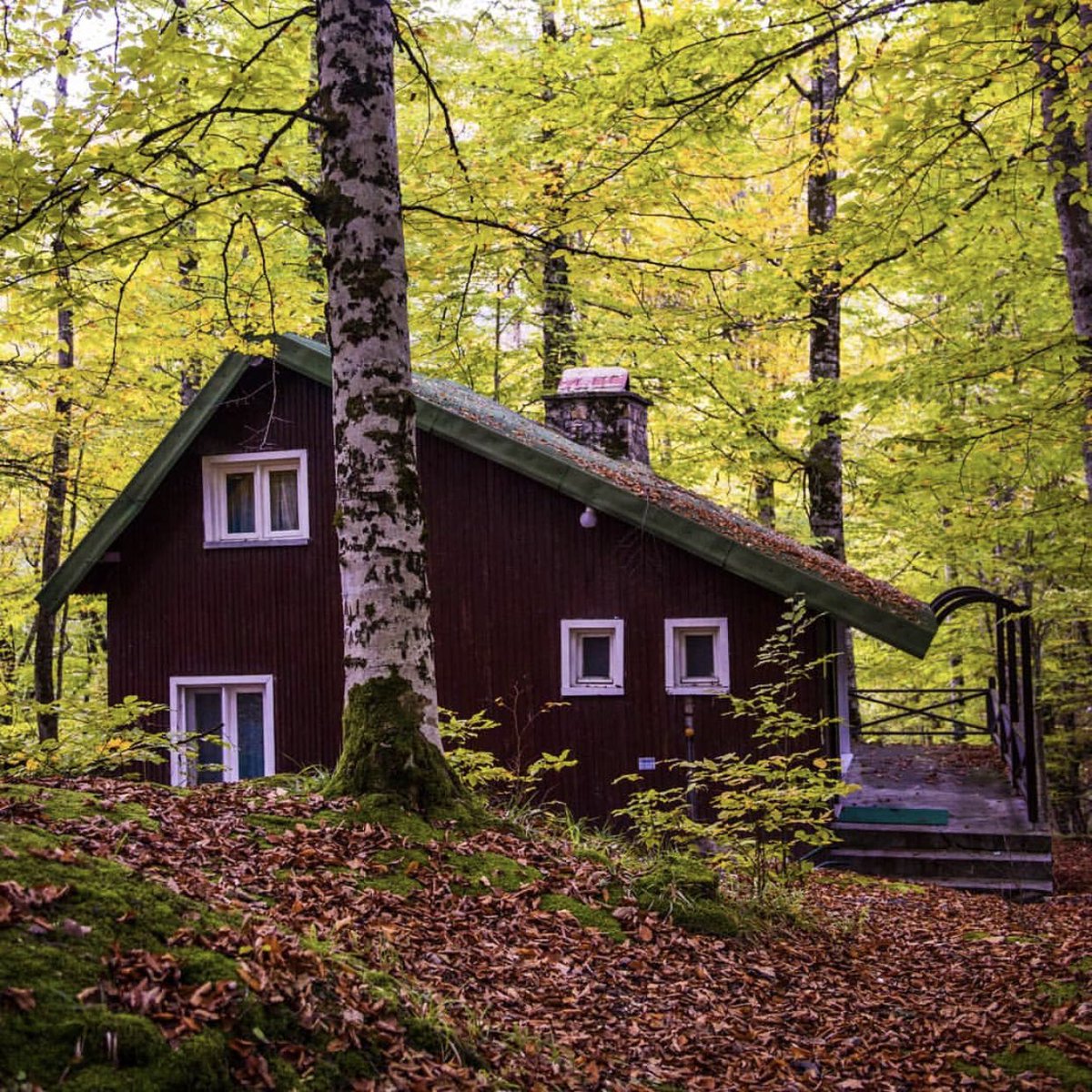 yapilacaklisten's tweet photo. Yedigöller Bolu’da Ormanın içinde Bungolov Evlerinde Kalmak 🏡 https://t.co/thUM0wi8U4