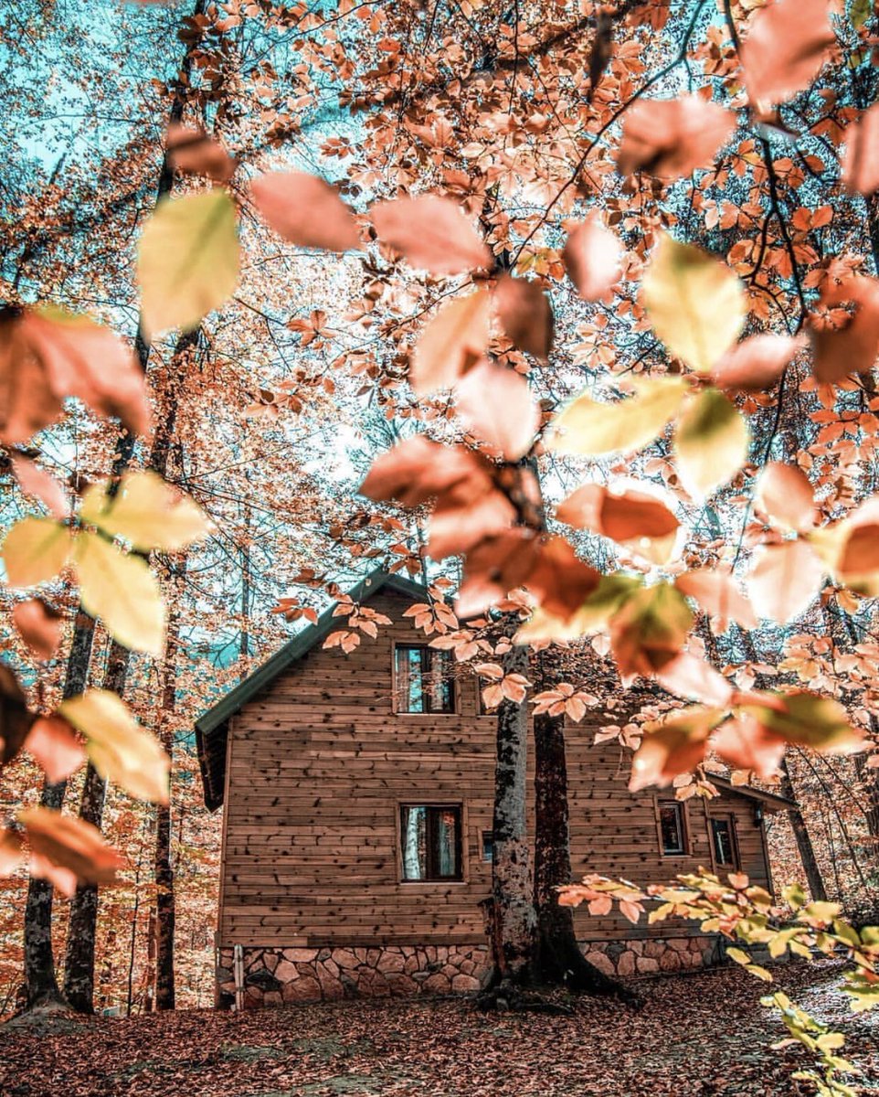 yapilacaklisten's tweet photo. Yedigöller Bolu’da Ormanın içinde Bungolov Evlerinde Kalmak 🏡 https://t.co/thUM0wi8U4