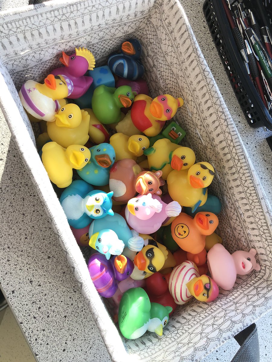 ArdsleyCS's tweet photo. The ducks have a new basket! Always debug with your duck! #talktotheduck #rubberduckdebugging https://t.co/0aQDH6fCXG