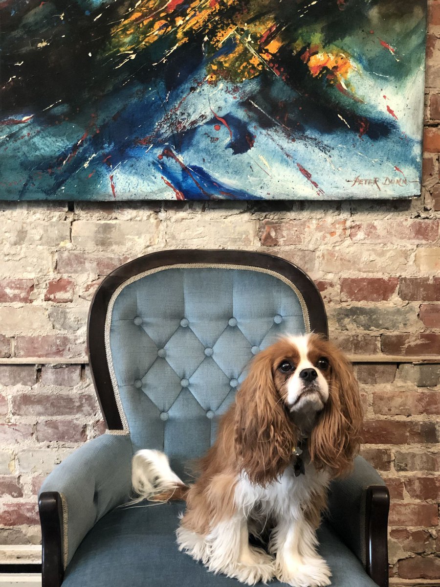 Aspiring #pupfluencer? We’ve got a space with the best backdrops and props to create the ultimate doggie feed on the ‘gram 🐶 #spacespacerevolution