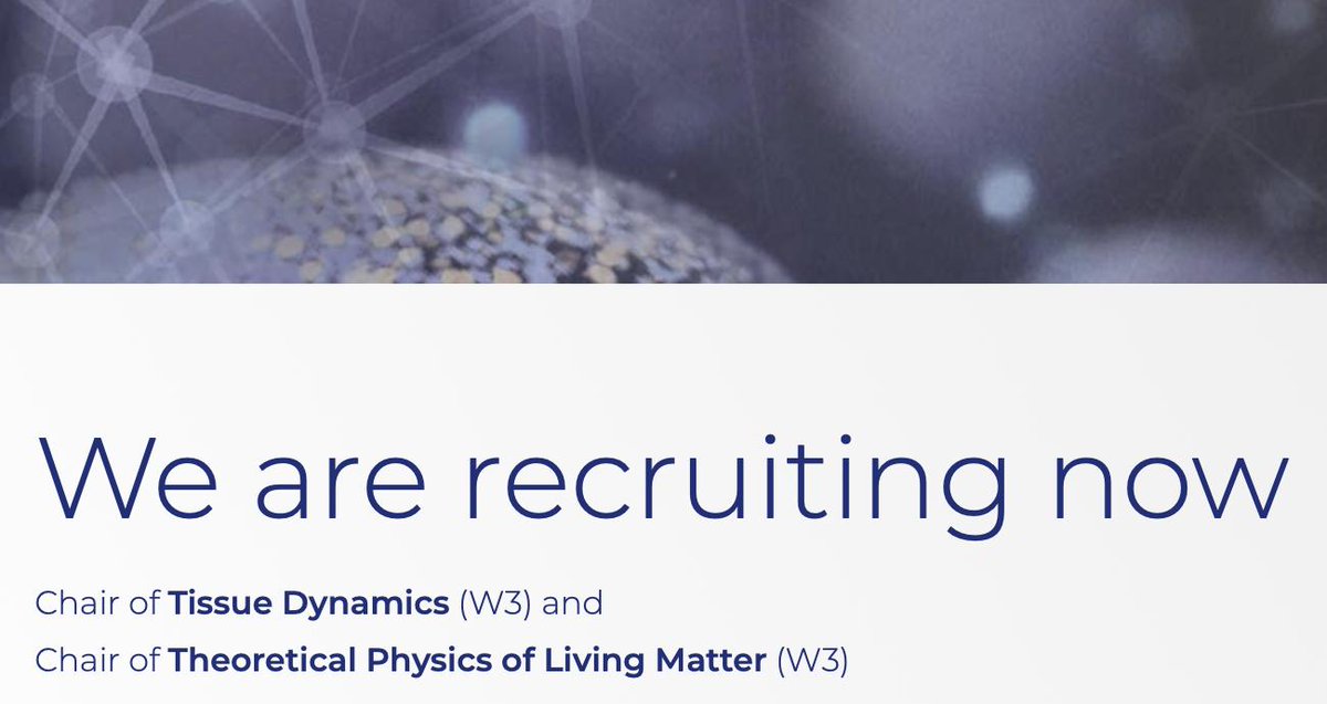 Stephan Grill tweet media