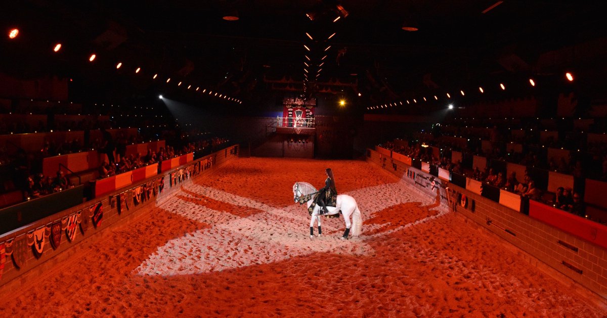 Medieval Times FL tweet media