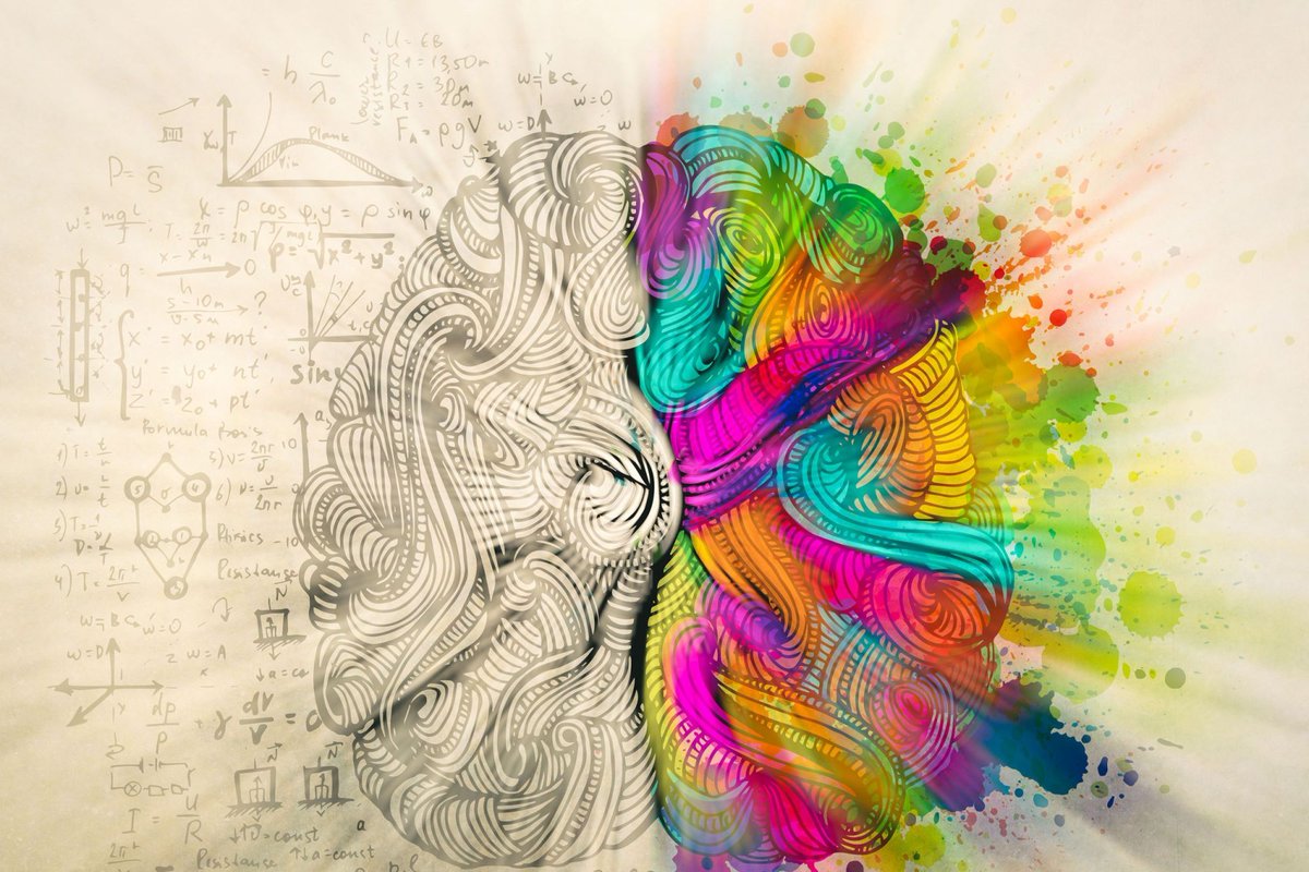 KleinHallcpas's tweet photo. Creativity – creating something from nothing – is no simple task. However, creative brilliance is crucial to business leadership, optimized strategy, and inspiration. Here are three strategies to unleash your creativity. https://t.co/LveAikqNy2 #creativity #leadership #kleinhall https://t.co/FNE56mtrUd