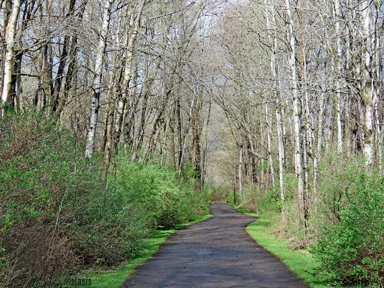 OleanNYChamber's tweet photo. The Allegheny River Valley Trail is a 5.6 mile recreational trail through Olean, Allegany and St. Bonaventure University campus is used for fitness activities such as hiking, running, biking, and in-line skating! #takeahike #gotrekking https://t.co/f3A9nPDizO