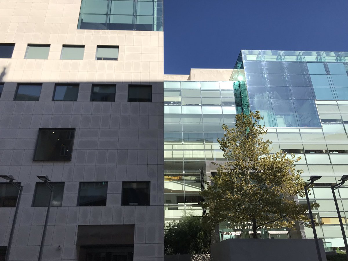 shu4603's tweet image. The contrast between the beige walls and the glass windows helps distinguish the Picower Center and the McGovern Institute. Fun fact though is that they’re part of the same building (Building 46). Anti #unityandflow