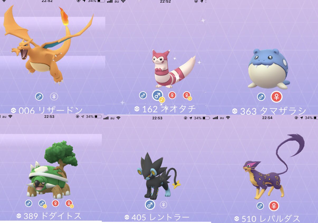 松山 拳也 好きなポケモン何ですか と結構質問いただくので ポケモントレーナー松山の手持ち 悩みに悩んだ6匹を リザードンは昔から1番好き オオタチとタマザラシに癒されながらドダイドスの上で昼寝しつつ 2匹の猫ちゃんと戯れるんだ 夢 オオタチ