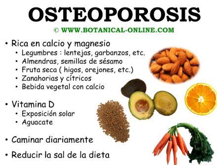 Alimentos ricos en calcio y vitamina d osteoporosis