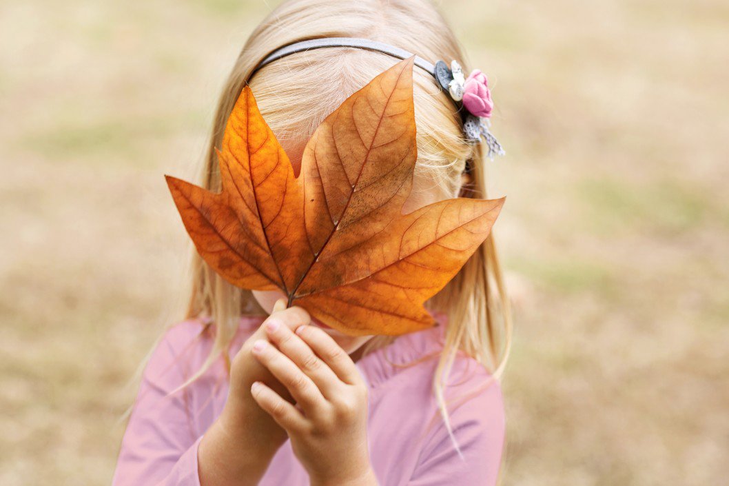 pastbook's tweet image. 🍁Leaves are falling. Autumn is calling🍁 What's better than keeping warm with a nice book? A book full of unforgettable memories, like your #pastbook!