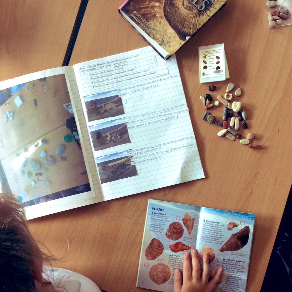 CosgrovePrimary's tweet image. This afternoon we looked at the process of fossilisation and took a closer look at some real fossils! #cosgroveprimary #terraclass #twittertakeover