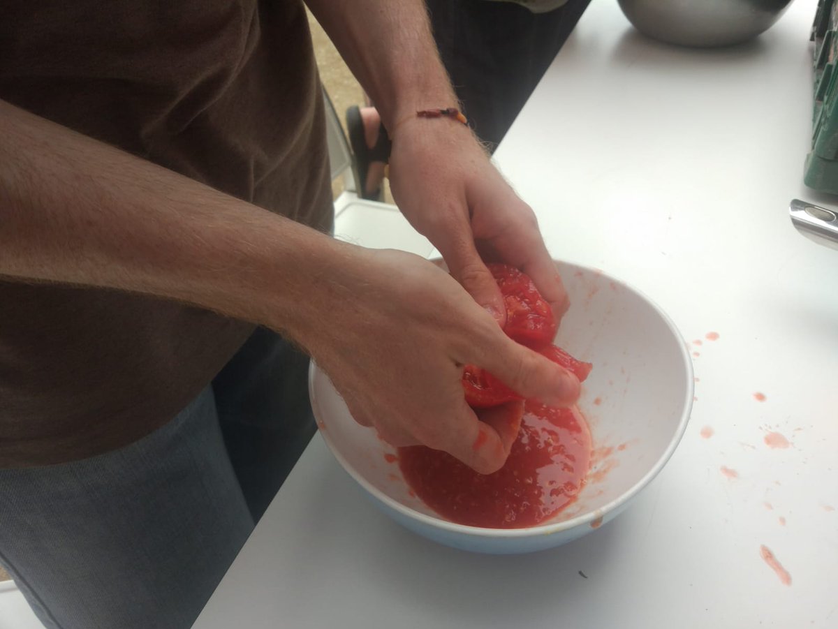 cristina_enea's tweet photo. Oraintxe bertan Cristina Enean / Ahora mismo en Cristina Enea / Right now at Cristina Enea. #tomatea #tomate #tomato #haziera https://t.co/9fm2JSLURE