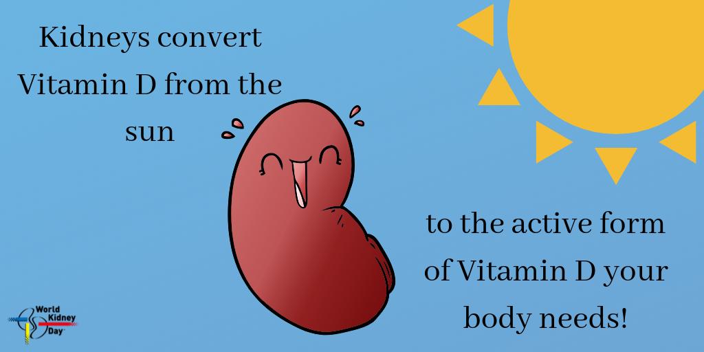 worldkidneyday's tweet photo. Going #outside for a walk has so many benefits, from getting gentle exercise to #vitaminD from the sun! ☀️🕶️
#Kidneys #AmazingKidneys #CKD
#Sunshine #Fun #TuesdayThoughts https://t.co/YlVuE9Ciiq