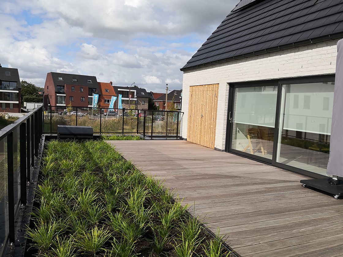 Canopy_groendak's tweet photo. #siergrassen, je kan er tegenwoordig haast niet meer naast kijken. Elke straat heeft wel een voortuin vol siergras. En jazeker, ook op #groendaken zijn ze in trek. 
https://t.co/5UHEU4JrQt https://t.co/v1pInhkFE8
