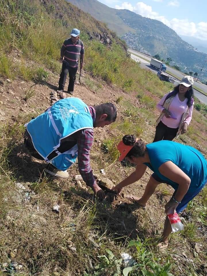 Sedesolhn's tweet photo. #MejoresFamilias, contribuyendo al cuidado del medio ambiente
🌏🌲🍃🌳

Nuestros Técnicos de Campo participaron en una jornada de reforestación en la colonia José Angel Ulloa de Tegucigalpa.
#MaquinariaSEDIS https://t.co/XYX2UcVqGs