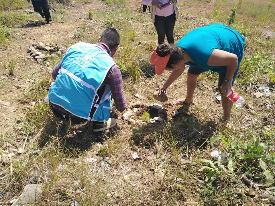 Sedesolhn's tweet photo. #MejoresFamilias, contribuyendo al cuidado del medio ambiente
🌏🌲🍃🌳

Nuestros Técnicos de Campo participaron en una jornada de reforestación en la colonia José Angel Ulloa de Tegucigalpa.
#MaquinariaSEDIS https://t.co/XYX2UcVqGs