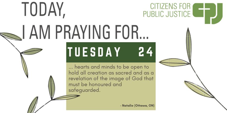 publicjustice's tweet photo. Join people from across Canada in Prayers for Creation! #pray4creation #seasonofcreation #climateprayers #climateaction https://t.co/nPaiWjay97 https://t.co/sGCcDusWDs
