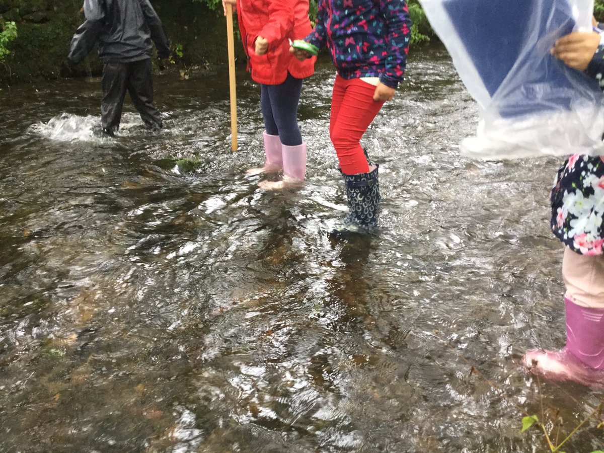 HTPShalifax's tweet photo. A great, if not wet, start to our trip! We measured the width, depth and velocity of Malham Beck! #geography #riverstudies https://t.co/bQu3dOWv4J