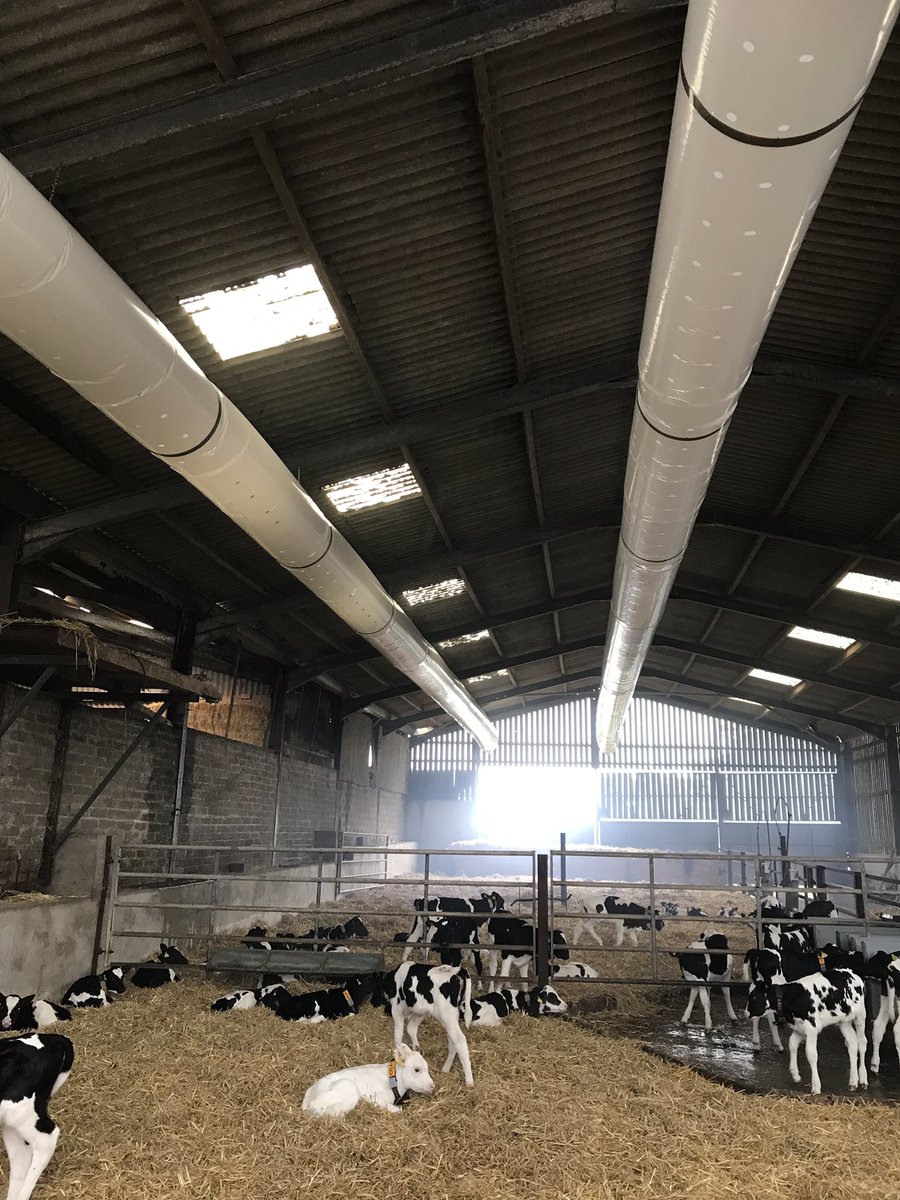 ShaunMo1's tweet photo. Just Completed installation of two ventilation tube systems near Haverfordwest. Bringing fresh air in and moving stagnant air which will improve Animal Health and reduce vet bills.#ventilation #dairy #hydor smoke tested and up and running https://t.co/FByd9sE393