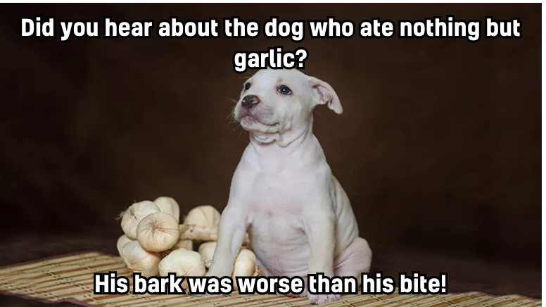 DTC_Limited's tweet photo. DOG JOKE ALERT!!!

We couldn't help ourselves!!

Sourced from Beano https://t.co/8jFP5ZOZHR