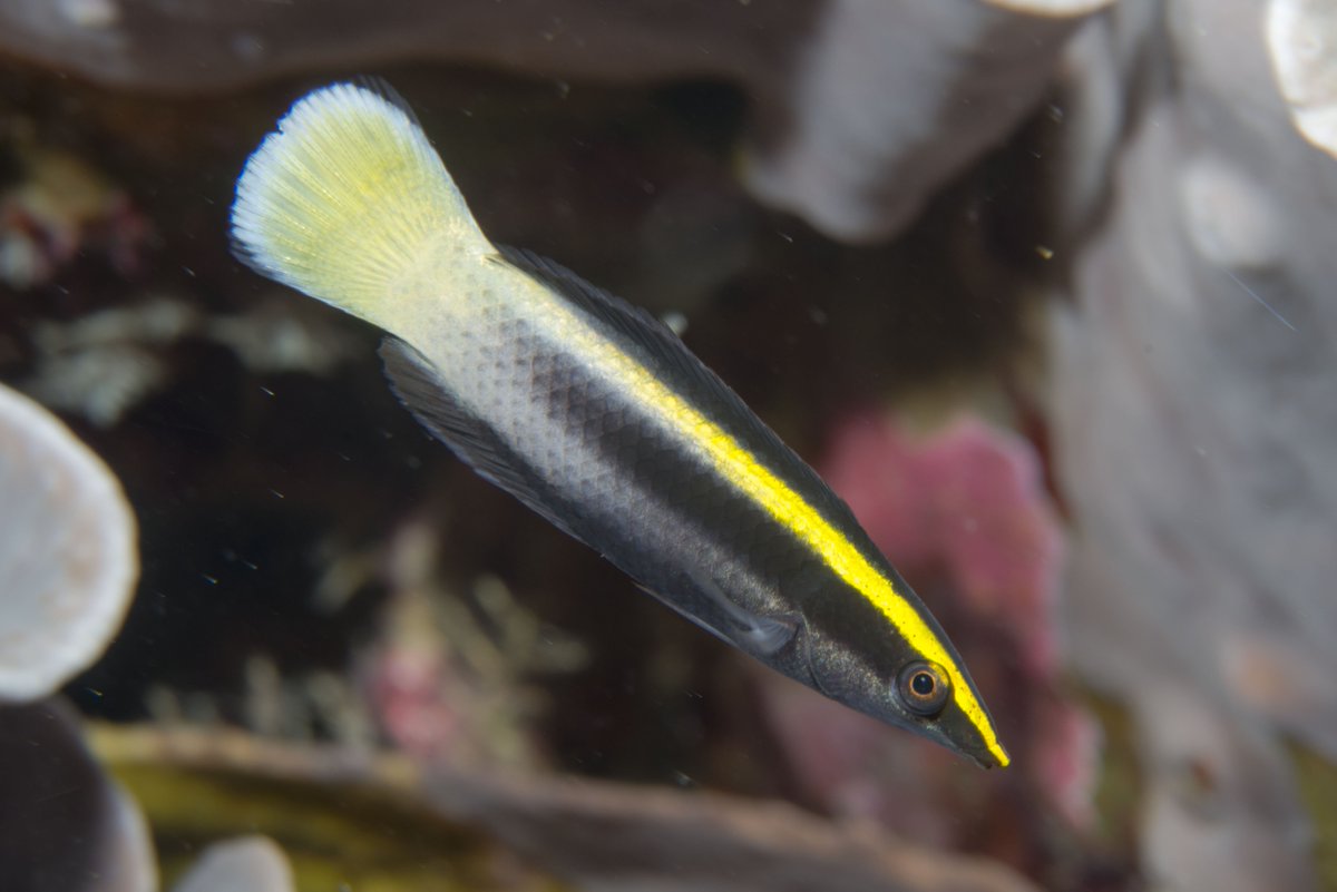 Ocean First Education tweet media