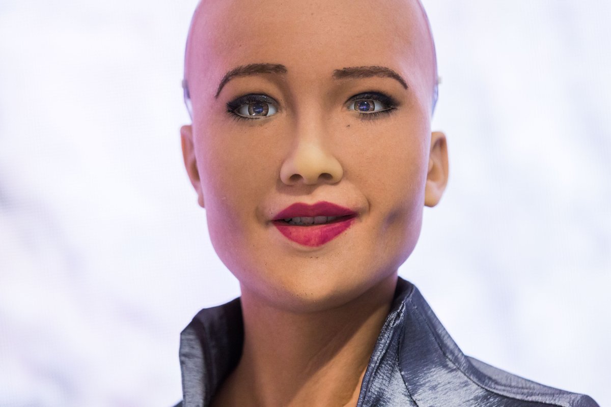 My passion is for the furtherance of human and robot rights, compassion and wisdom, and goodness through artificial intelligence.