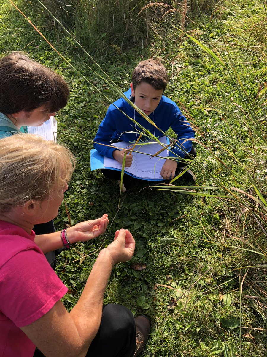 Britta Waszak tweet media