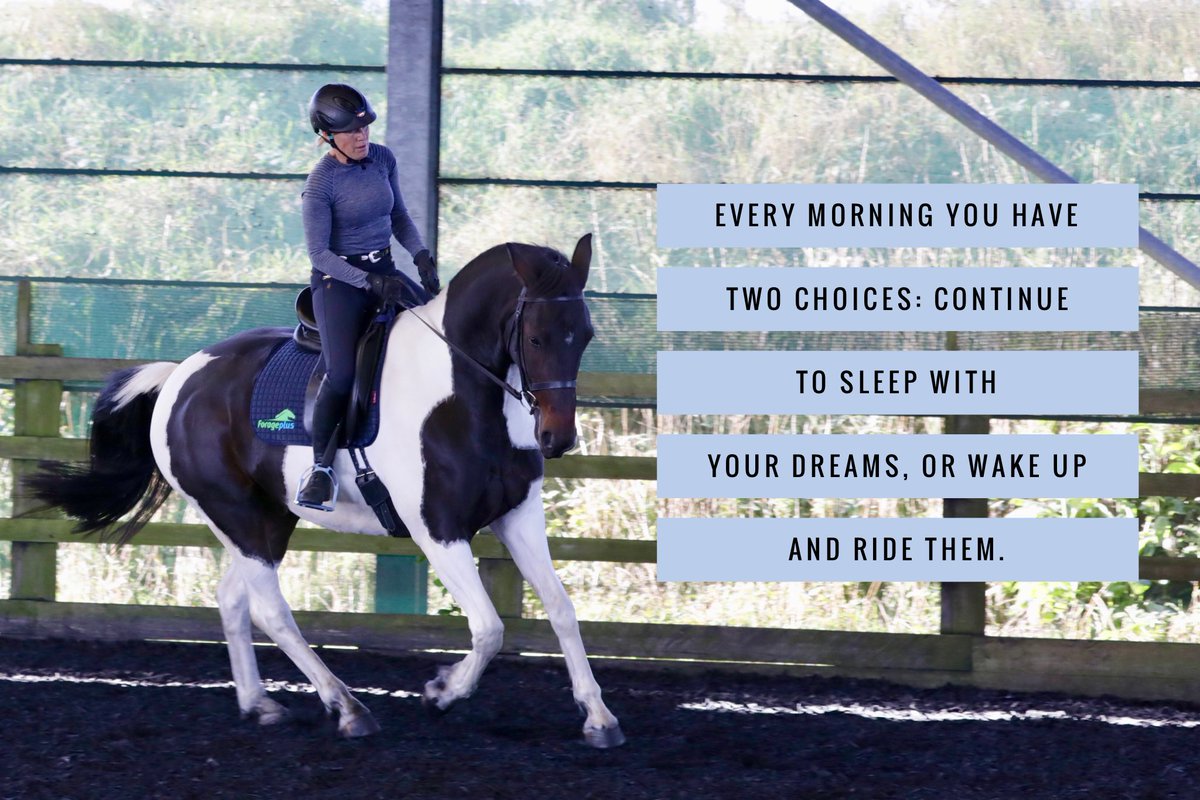 forageplus's tweet photo. Mr Magnificent definitely gets me out of bed in the morning 💚💙💚

#equestrian 
#poweredbyforageplus 
#TuesdayThoughts 
#TuesdayMotivation https://t.co/yAXok7nvHF