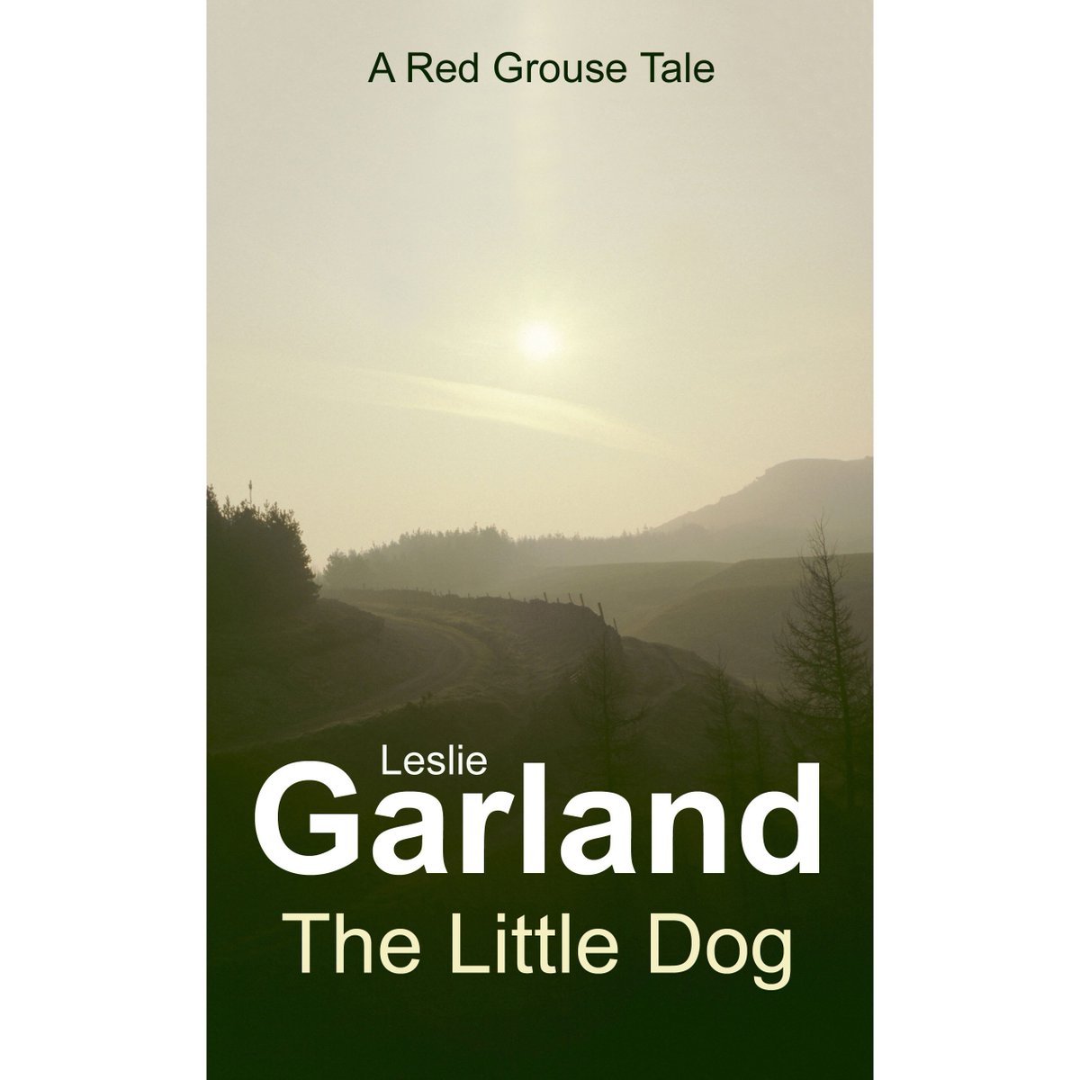 LeslieWPGarland's tweet photo. "A very spooky tale with a horrifying atmosphere" or "Eerie and interesting, makes me want to read more of Garland's tales"
5 star rated Red Grouse Tales are available; https://t.co/peZkGpyZyf
Only Β£0.99 FREE on Kindle Unlimited.
#ian1 #IARTG #SNRTG #wowbooks #checkeditout #RPBP https://t.co/rsbFvzvB1f