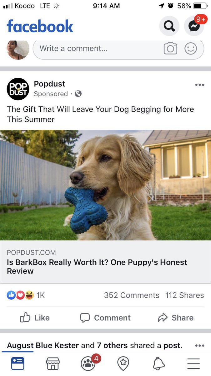 I was applying for a credit card and all the ads on my social media were for credit cards after that so I started googling dog related things so they’d give me ads with puppers lol it worked (I don’t even have a dog)