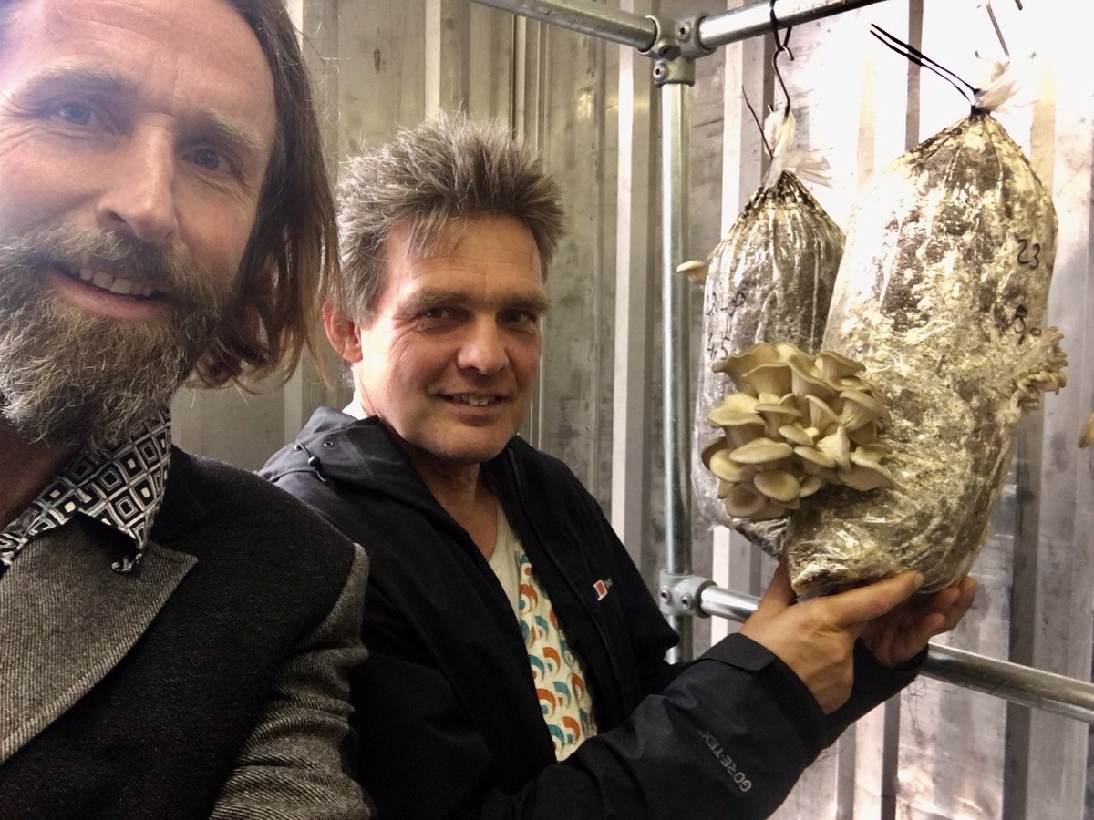 ZWAMGENOT Vandaag onze 1e oogst van op eigen Hanze koffieprut gekweekte oesterzwammen. Dat smaakt naar meer <a href="/hanze/">Hanze</a> met @WesterZwam! #weareNICE #hanzeduurzaam #circulaireeconomie