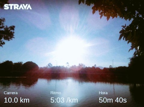 vicent2361's tweet photo. "Trabaja en silencio, que el éxito se encarge de hacer todo el ruido". Buenos días 🌞 #runners que tengan un #FelizMartes #MartesDeMotivacion #yoelegicorrer 🏞️👟👟💨💨💨🏃🏃 10 km. 👊💪💯 #aquiyasecorrio #templorunner #MotivacionGym #ridersrunning #MiVicioEsCorrer #runnerspuebla https://t.co/IxsbWn25Vn