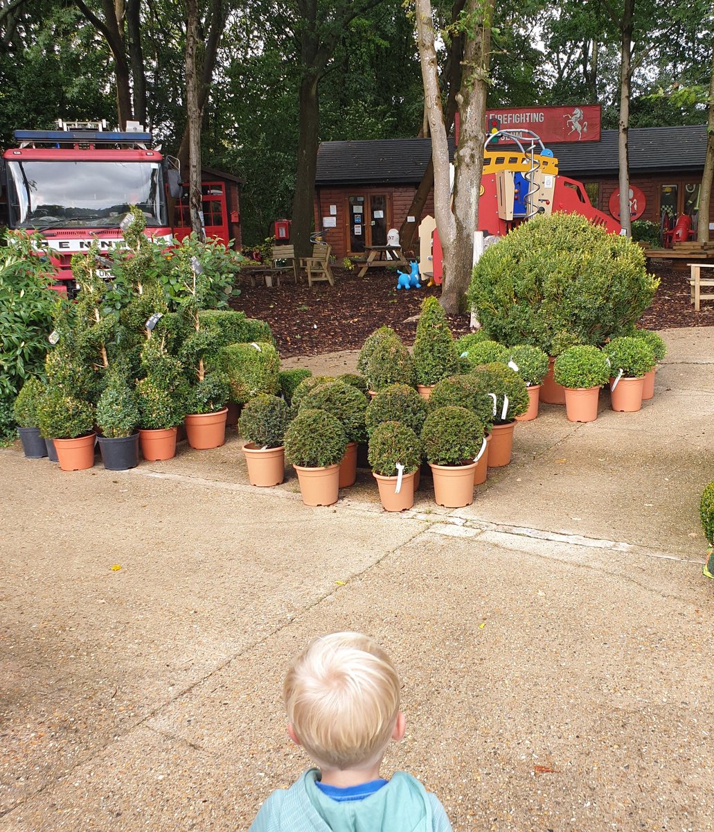 The hungry toddler tweet media