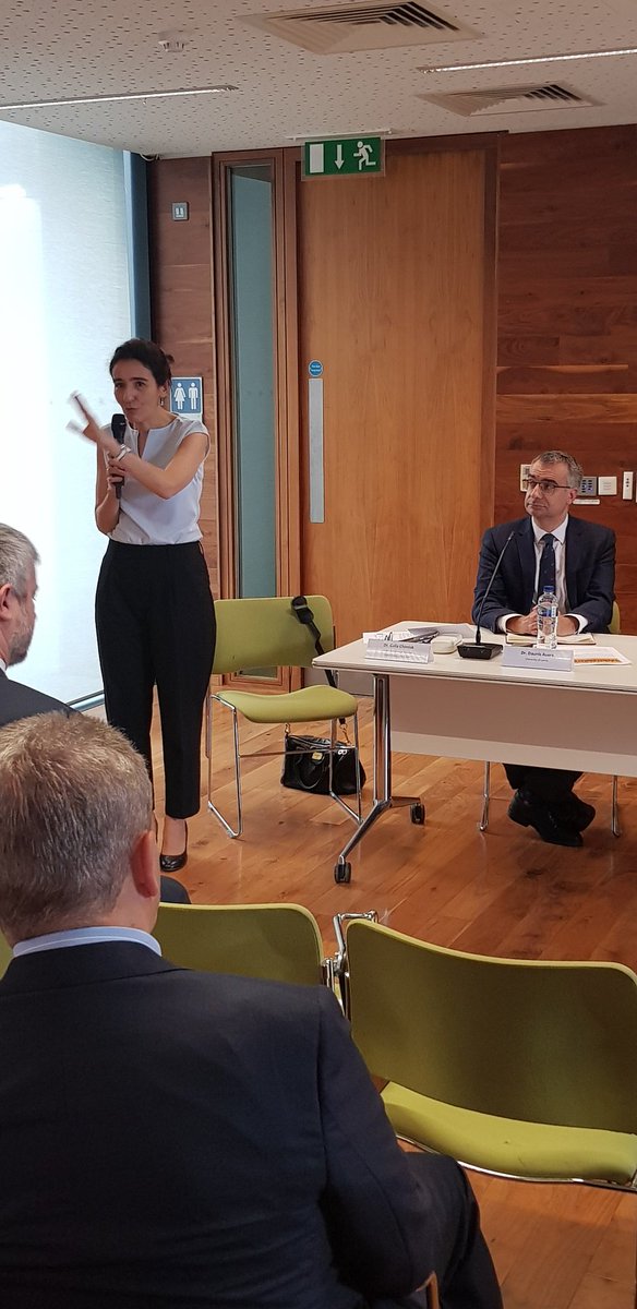 TCDTIDI's tweet photo. Dr Galia Chimiak chairing session 1 on 'Identity Politics' during 30 Years On Conference hosted by @TCDTIDI. @TLRHub @tcddublin @tcdglobal https://t.co/K36SuNrX1Y