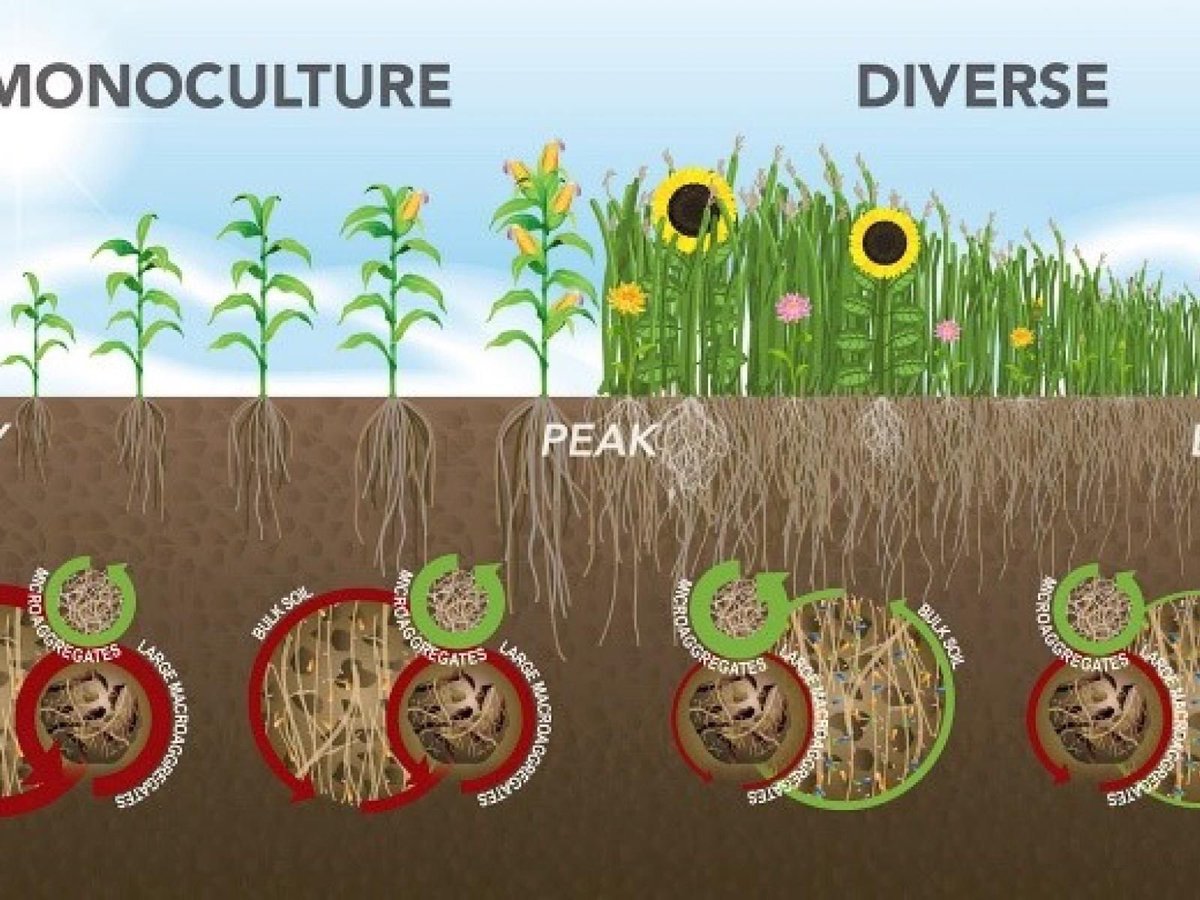 Soil microbial ecology at the aggregate scale <a href="/erbforscience/">Racheal</a> <a href="/SoilOrgMatters/">Elizabeth Bach</a> doi.org/10.1016/j.soil…