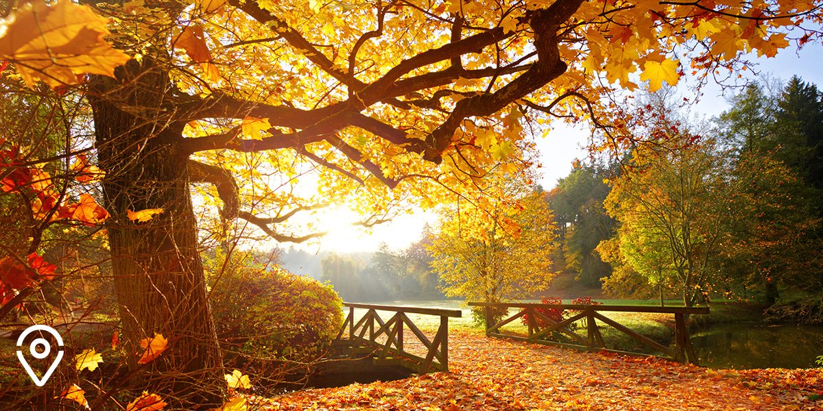 Fall is here. Nature had been saving up all year for the grand finale and now it's your chance to witness this beauty. Angel Host will manage your short-term rental business and all you have to do is enjoy! #myangelhost #superhost #travel #airbnb #autumn #love