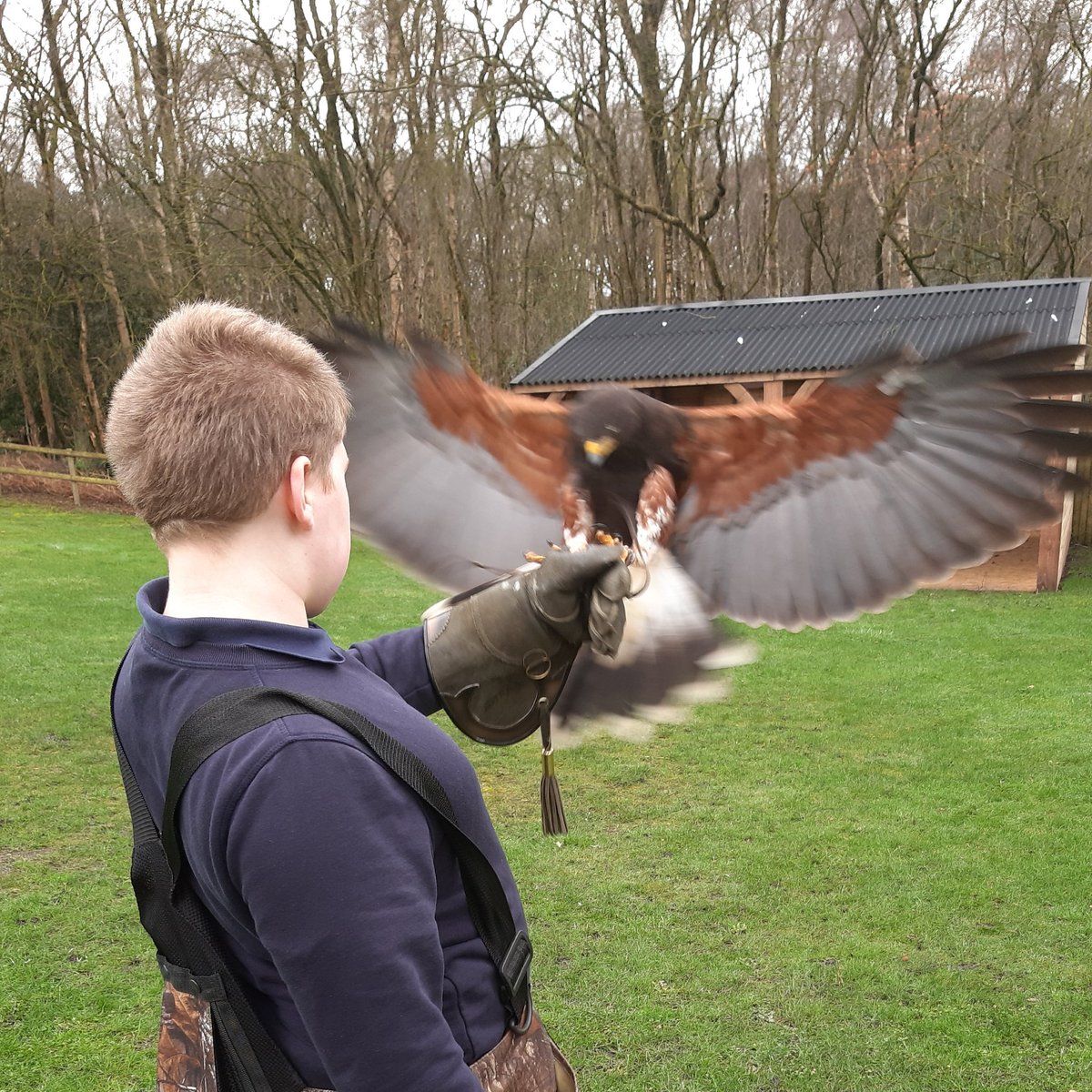 burrowingbolt's tweet photo. We had a wonderful day with pupils from @KedlestonGroup #highpeakschool at @cheshfalconry learning about patience & persistence, building trust, working with others, building confidence #makingadifference #changinglives #autism #autistic #lookbeyondthelabel #achiever #AAT https://t.co/yUeFqsozgE
