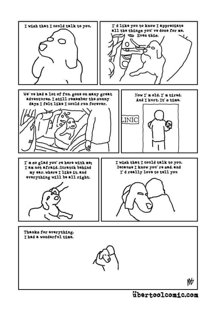 GaryACarlo's tweet photo. To all my friends who have a dog as part of your family it's important you are always there for them especially at the end. It's when they need you most. 
@terryschappert @BJLaflin @KatiePavlich @dagenmcdowell @KurtSchlichter �� https://t.co/55a7Qu66vE