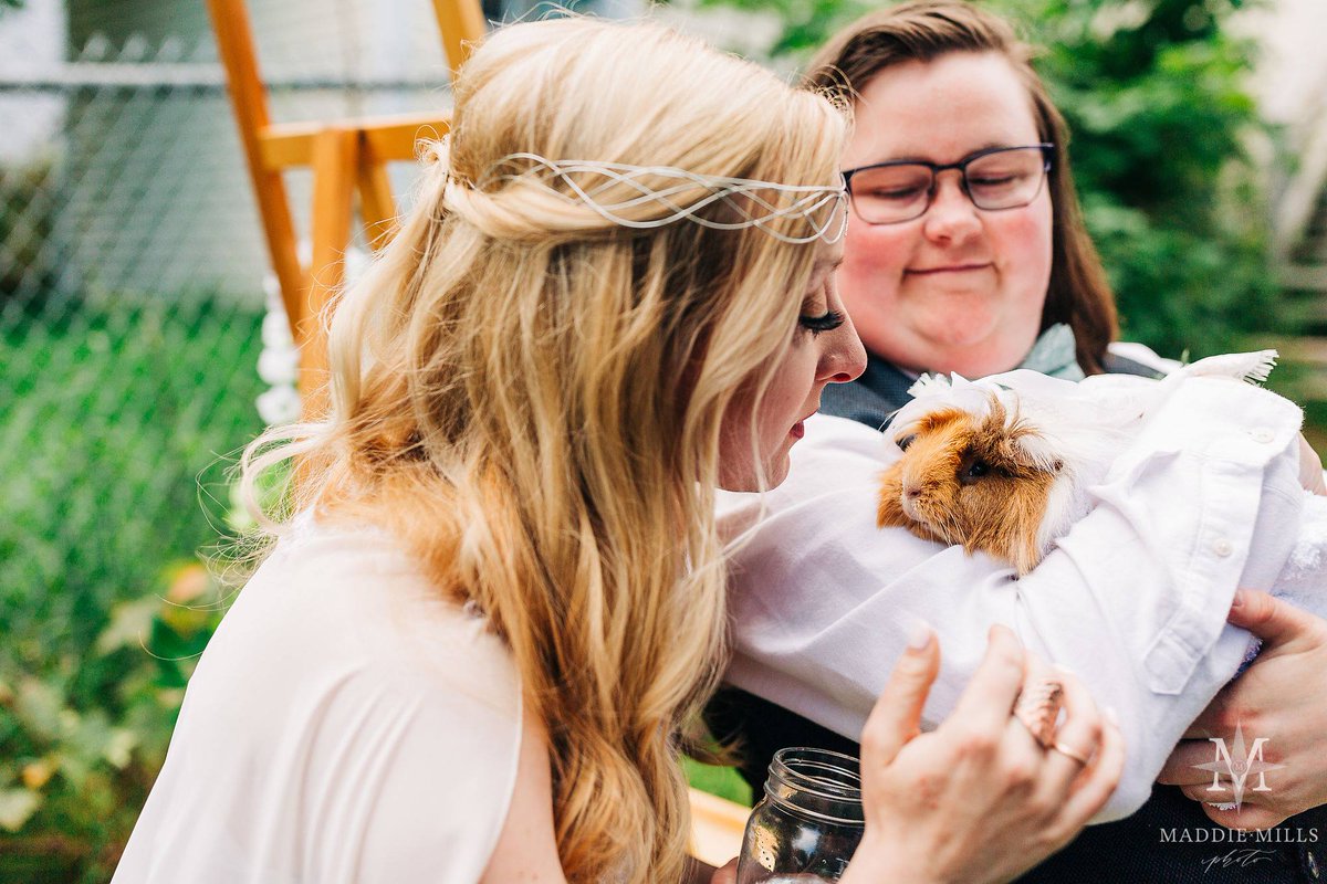 zzzaren's tweet photo. Yesterday we said goodbye to Shaggy, our eight-year-old guinea pig who we adopted over six years ago 💔 https://t.co/umpGWnV9JQ