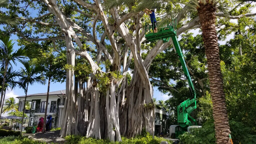 AHTGlobal's tweet photo. Another amazing AHT Global &amp; Coastal Source Outdoor Landscape Lighting Installation on Miami Beach.
#ahtglobal #coastalsource #landscapelighting #bespoke #lifestyletechnology #luxury #azioneinsights #azioneexperience #azioneunlimited https://t.co/nrBQOG5wAr