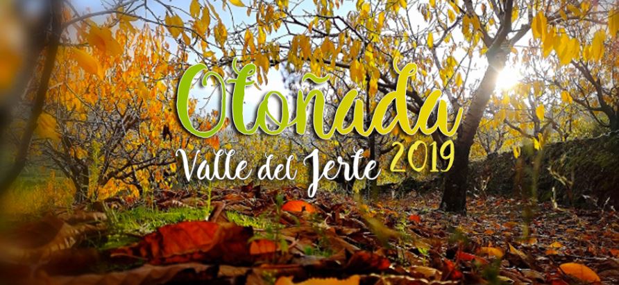 SPENDINextremad's tweet photo. Gastronomía, tradiciones populares, senderismo, poesía, pintura, fotografía… Del 26 de octubre al 8 de diciembre, los pueblos del Jerte se vuelcan en la celebración del otoño:
https://t.co/x1ZyWendRS https://t.co/m4JooOxPuq